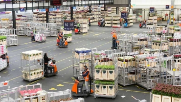 Transformatie - Jaarbericht 2015/2016 - PwC