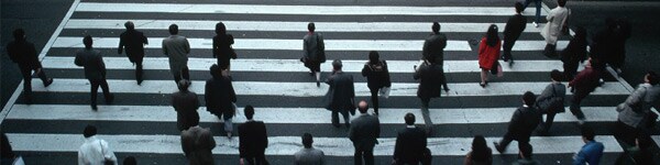 From supply chain to value chain