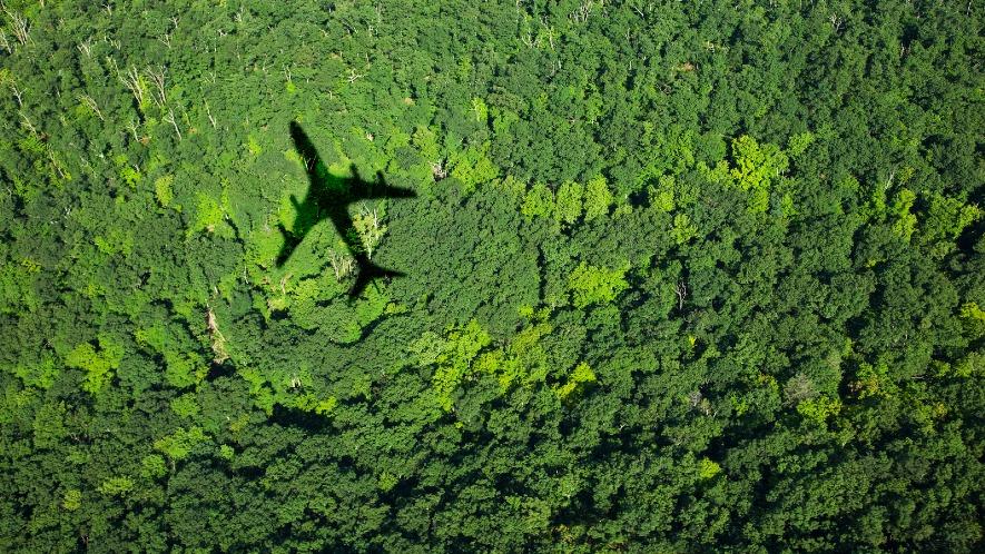 Greenwashing in the financial sector: separating fact from fiction