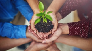 Growth factors Dutch social enterprise sector shared internationally
