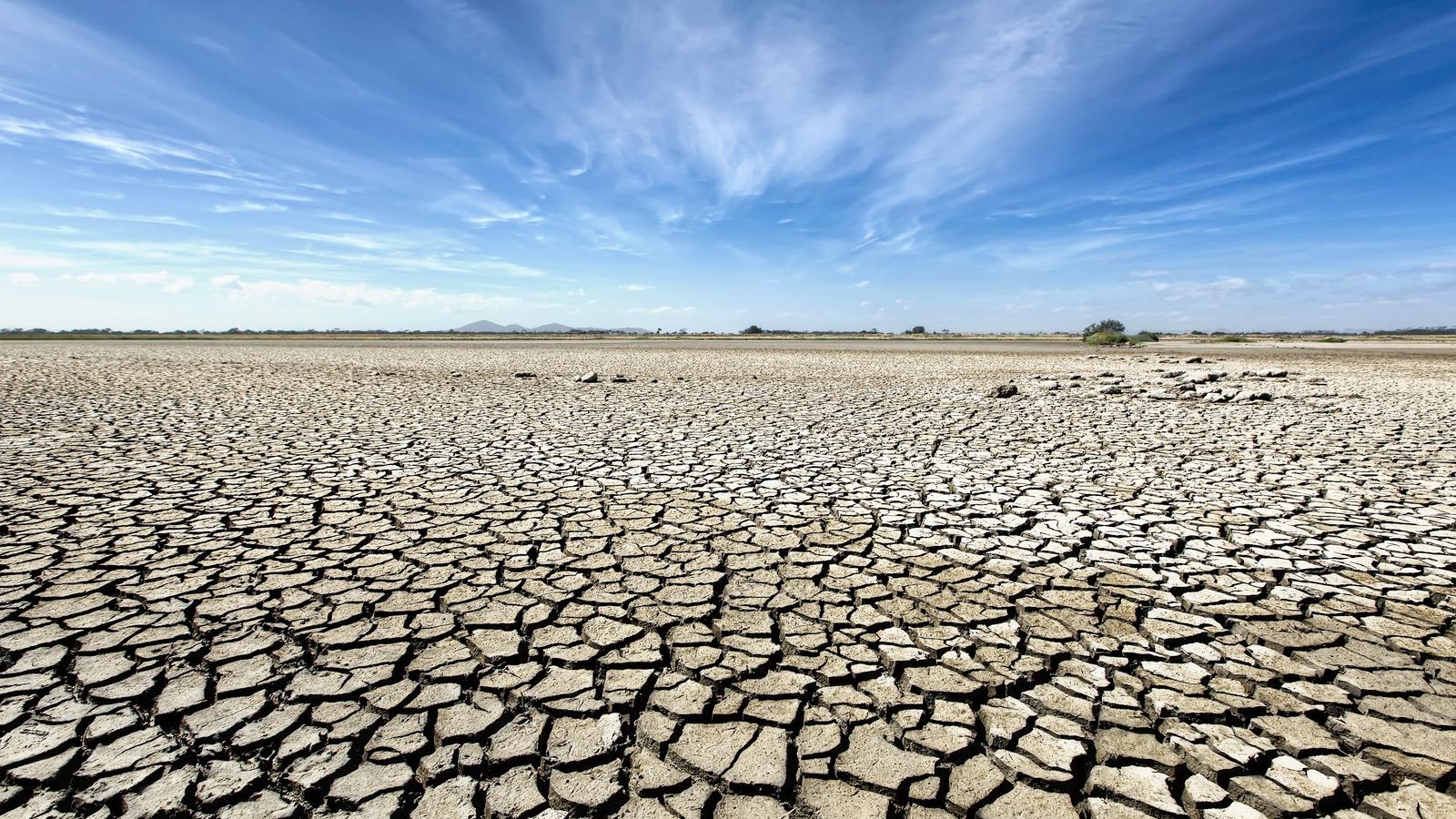 Verzekeraars aan zet om klimaatrisico’s financieel te mitigeren