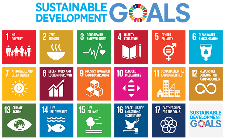 Covid-19 SDG Barometer #3 - Duurzaamheid - Thema's ...