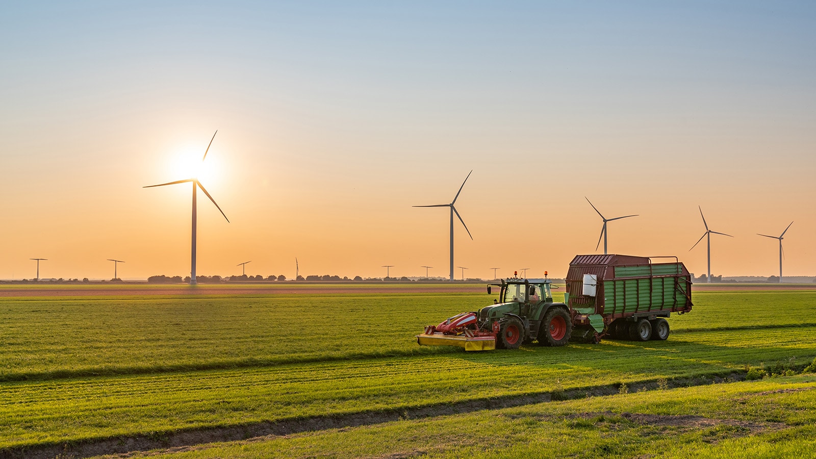 Ministerie van Landbouw, Natuur en Voedselkwaliteit
