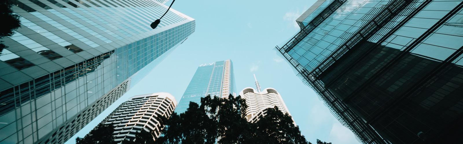 Internal Audit, Risk Management & Fraud