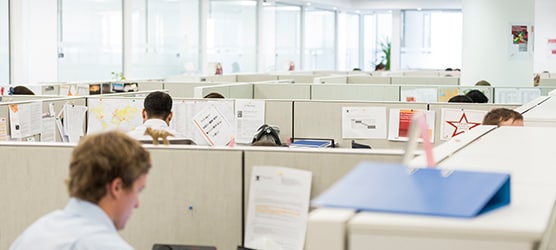 tax professionals walking on their workstations