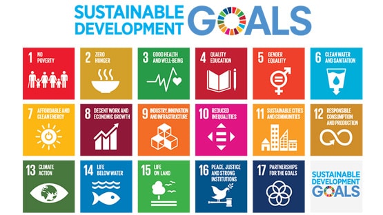 Sustainable Development Goals