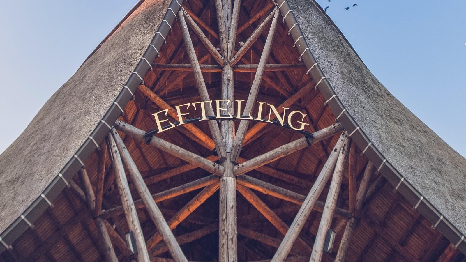 The Accountancy Experience